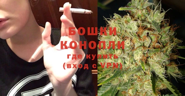 прущие грибы Волоколамск