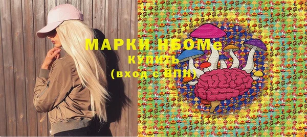 прущие грибы Волоколамск