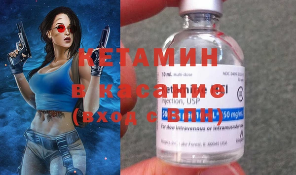 прущие грибы Волоколамск
