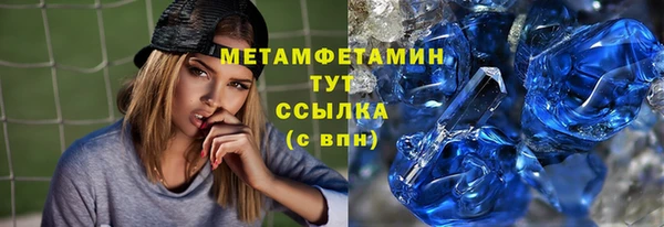прущие грибы Волоколамск