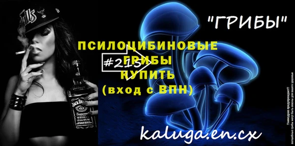 прущие грибы Волоколамск