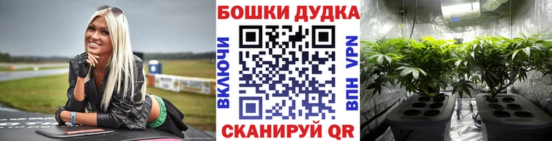 наркотики  Выборг  Конопля Ganja 